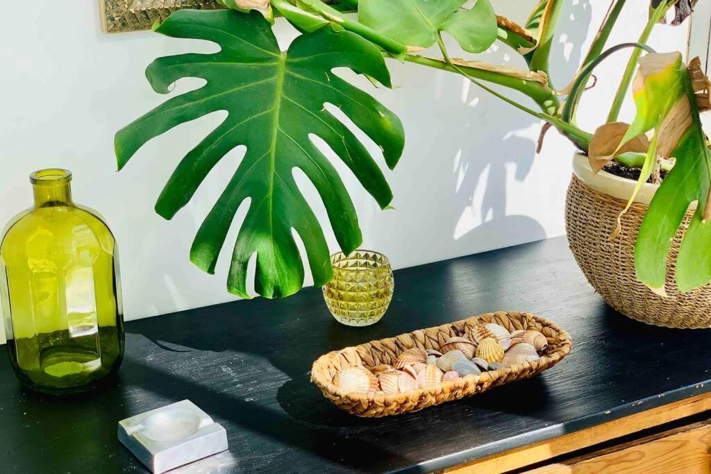 Begonia City Center Apartment 230 By Namaste Elite Torremolinos Luaran gambar