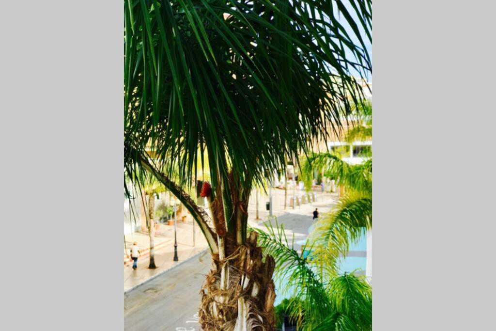 Begonia City Center Apartment 230 By Namaste Elite Torremolinos Luaran gambar